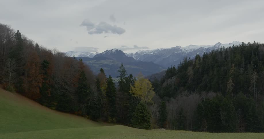 The forest is dense near the mountain range
