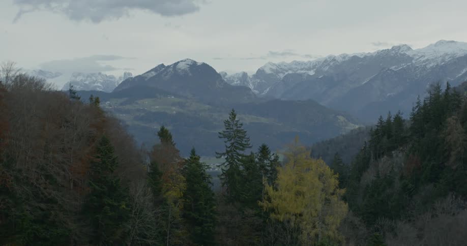 Snow capped mountains surrounded by fall colored trees