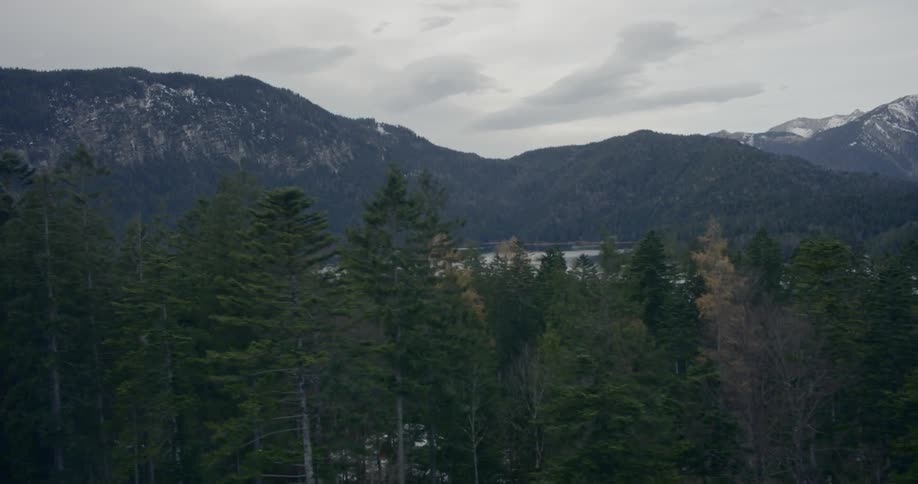 A mountain lake surrounded by forest trees
