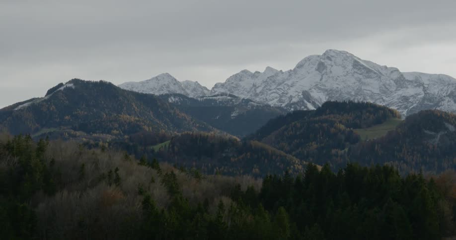 Wide shot of trees at the base of a mountain range