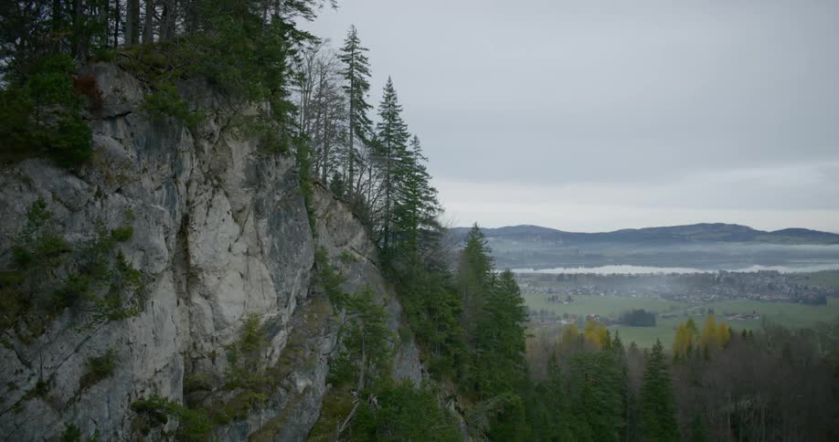 Trees are covering the mountains