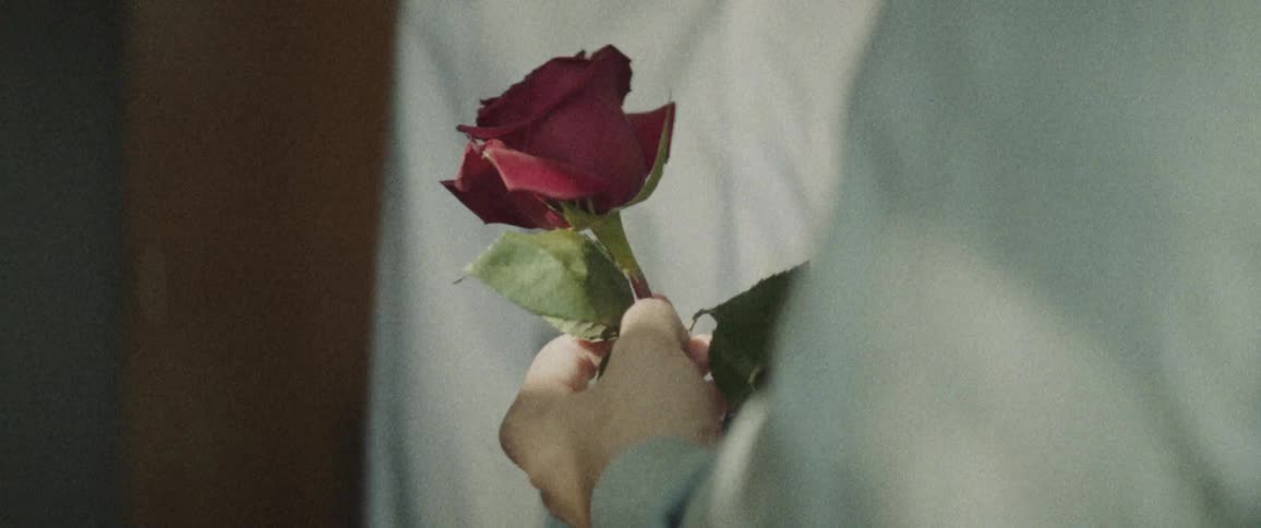 A woman opens a door to a man holding a rose