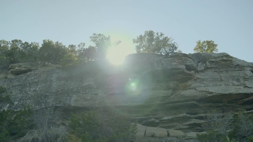 Trees near on a cliff side