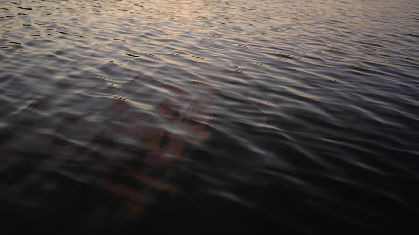 Sunshine highlights ripples across dark water