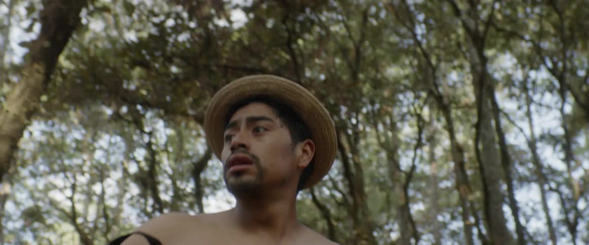 A man with a hat lost in the forest