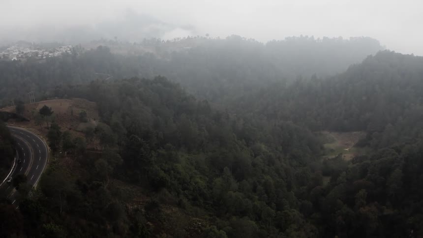An aerial view of a misty forest