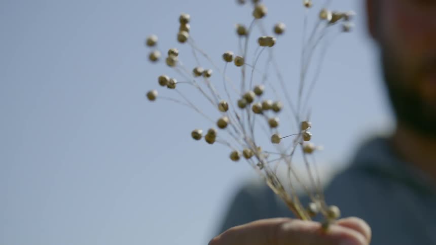 A man with a plant in his hand