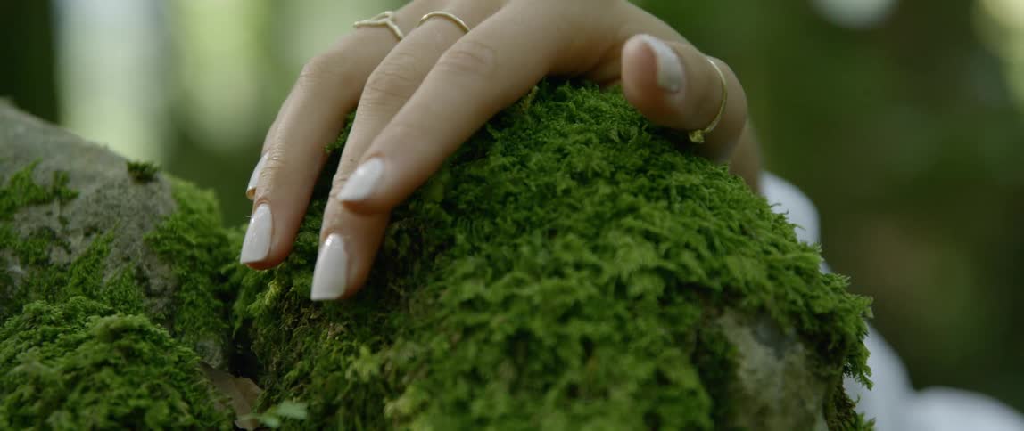 A womans hand touching a rock with moss