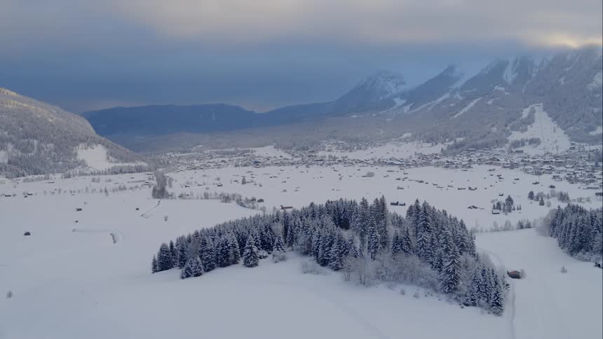 Frosted stand of conifer on snow plain between mountains