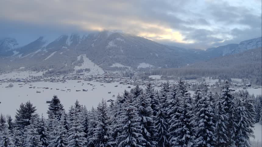 A snowy plain between a pine forest and mountain