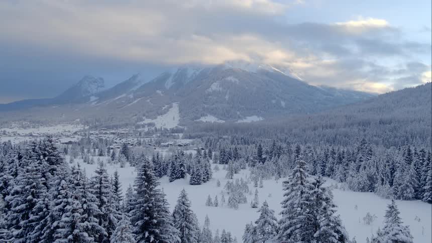 Forest trees and mountain valley covered with snow