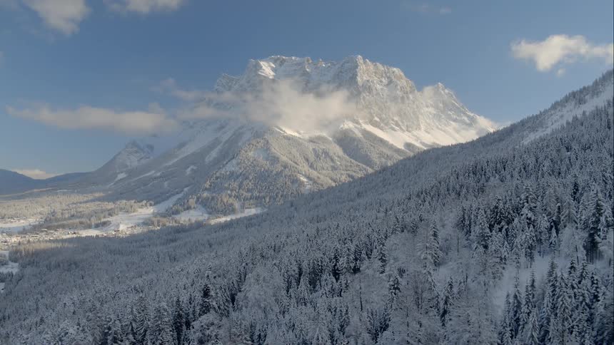 A coniferous forest coated in a powdering of snow leads to a huge mountain