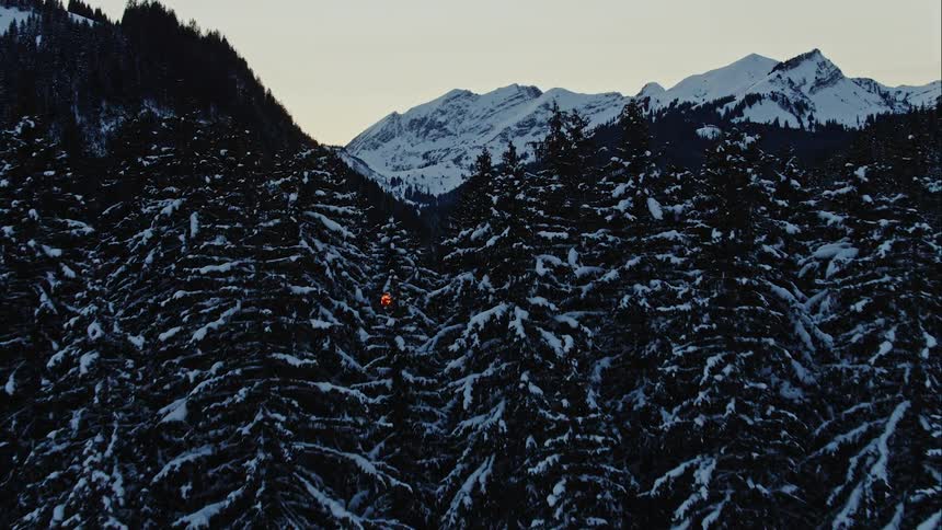 Snow covers conifer forestand mountain range