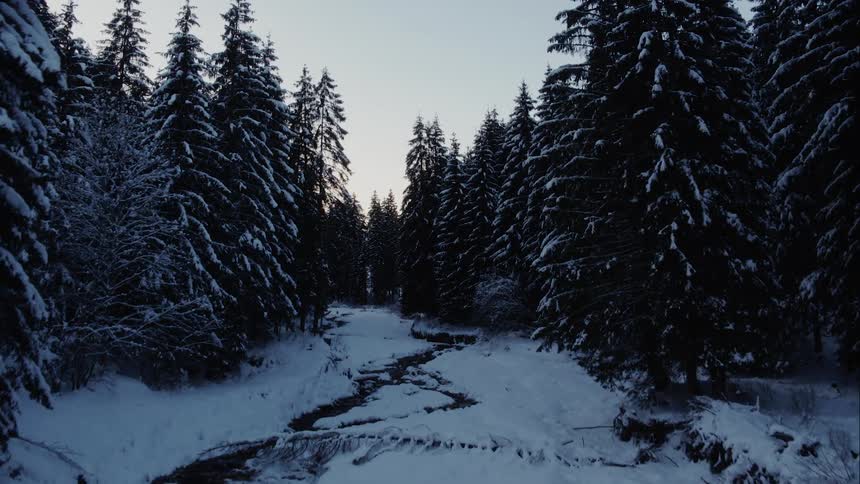 An aerial view of a snowy fir forest