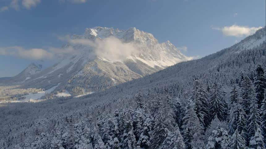 An aerial view of a snowy forest