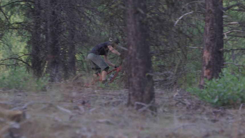 A man mountain biking at the forest