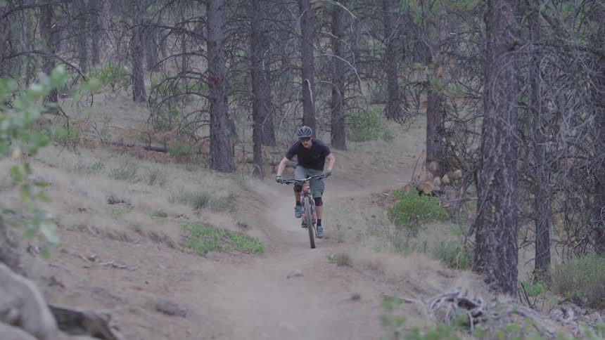 A man rides a bicycle through a wooded path
