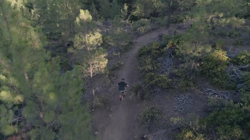 Bicyclist rides along dirt path through forest during the day