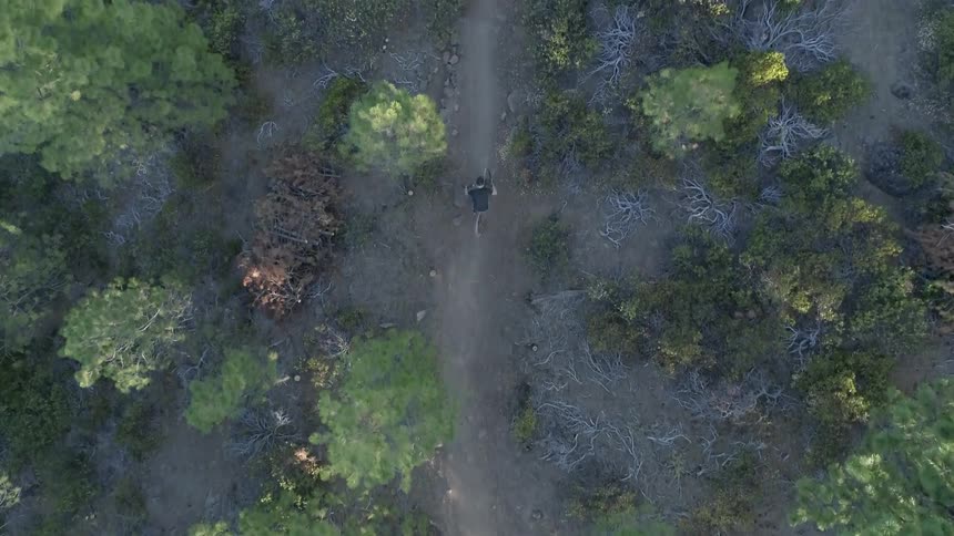 Aerial view of man on bike on dirt road through trees
