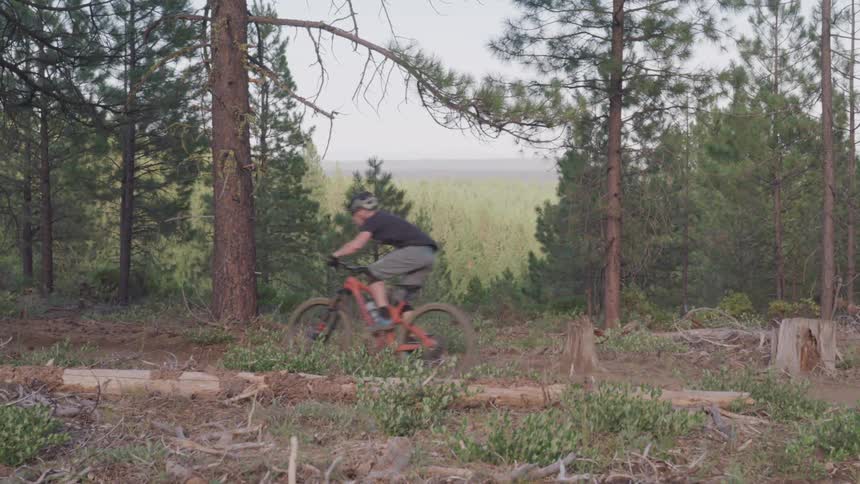 Mountain biker riding across a trail through the forest