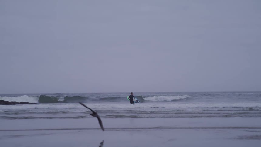 A bird flies and lands in the foreground while a man with a surfboard stands in the water in the beach