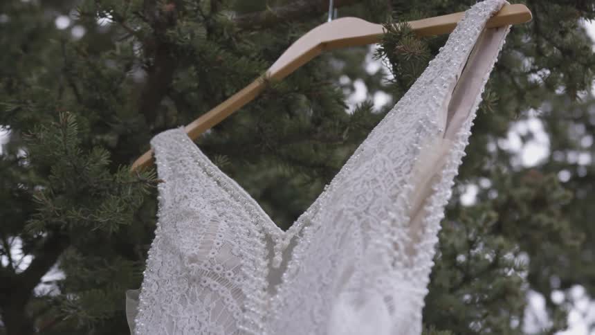 The dress is hanging on a hanger from the tree