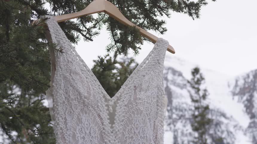 A beaded wedding gown hangs from a tree near a mountain range