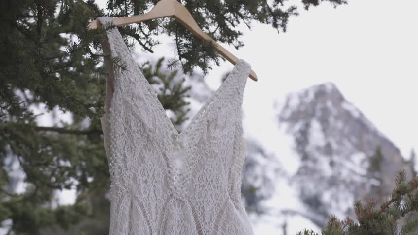 A wedding dress hanging off of a pine tree off of a hanger