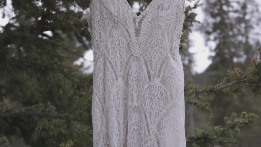 Wedding dress on hanger hanging on tree branch outdoors