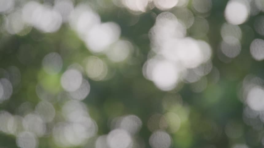 A blur footage on public park