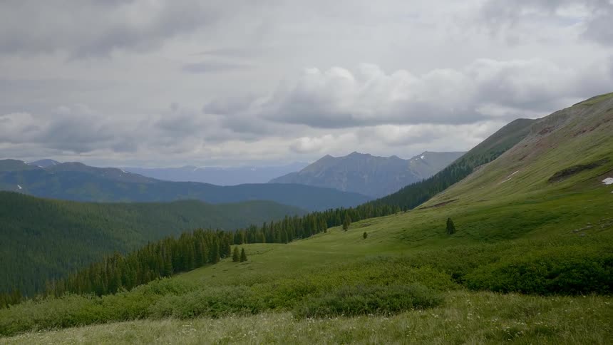 Mountain range covered in pine trees and grass