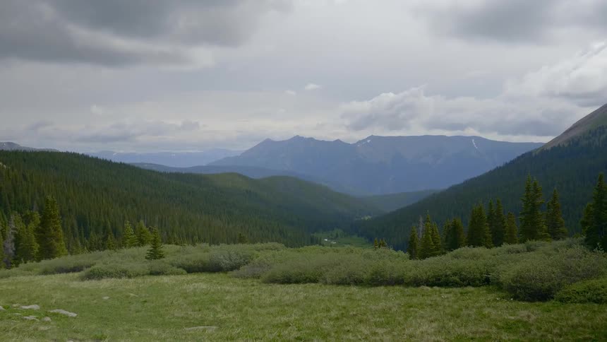 Grass grows in a mountain meadow