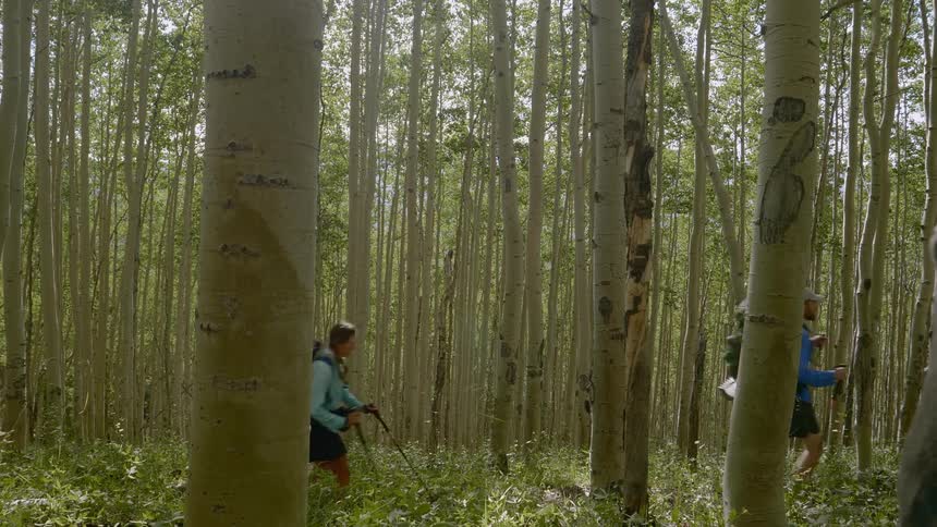 Couple hiking trough the forest
