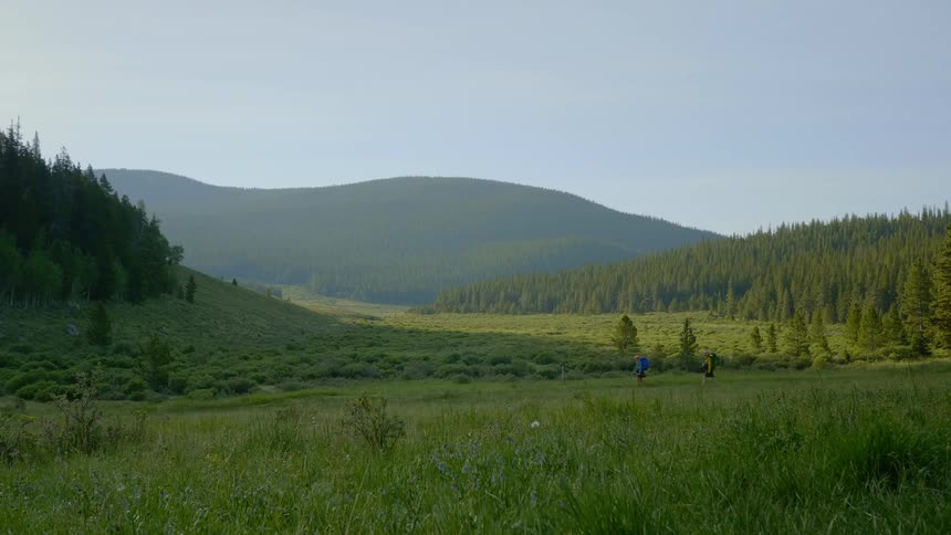 Two people are hiking over the tall grass