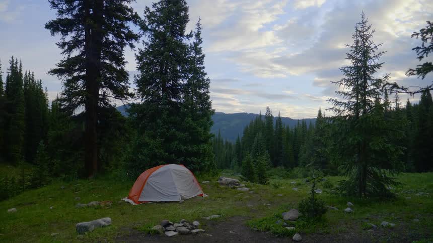 An orange and white tent set up in a forest