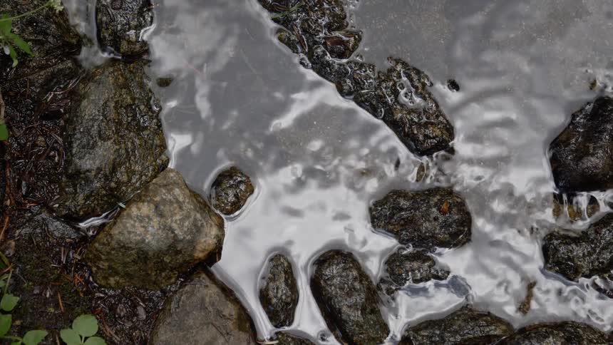 A view of water stream in a river