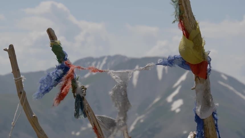 Feathers and material tied to branches