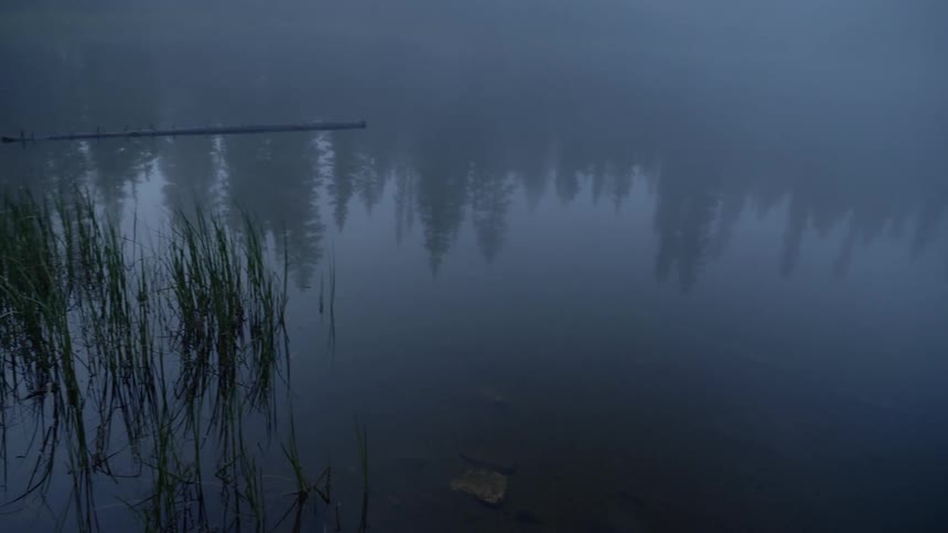 Trees reflect on the water below