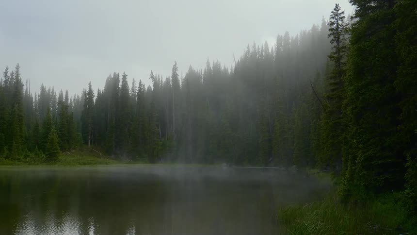 A misty forest in front of a lake