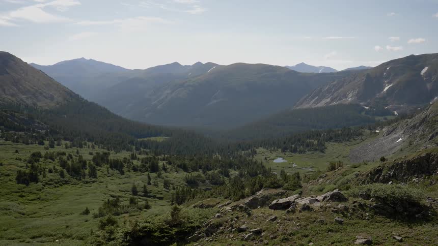 An aerial view of a meadow