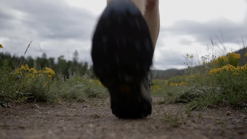 A male and female hiker following a dirt path through a field