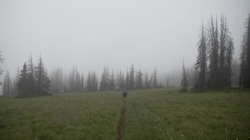 Man walks along the field on a foggy day