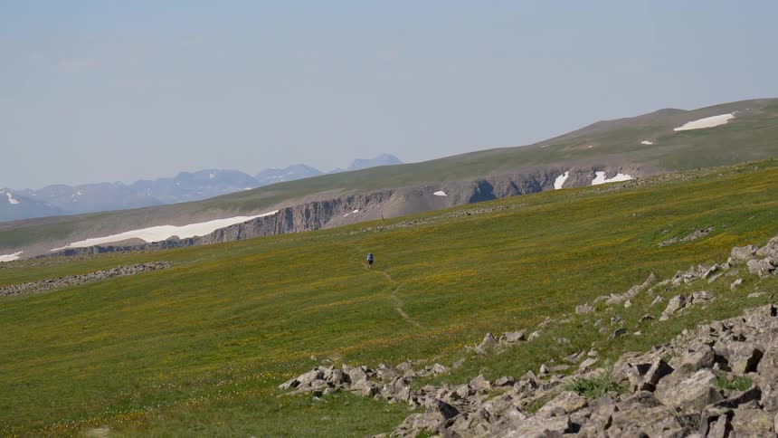A scenery of a grass field