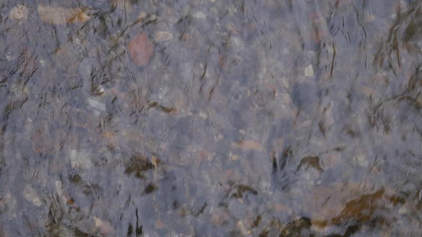 Clear water running over rocks and leaves