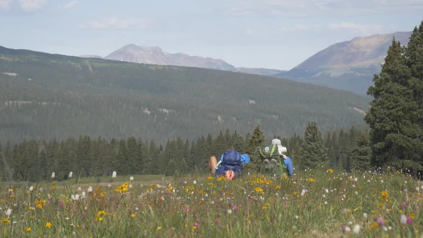 Two people sit in a field of flowers overlooking a hilly landscape