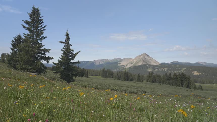 Landscape view of a meadow with mountains in the background