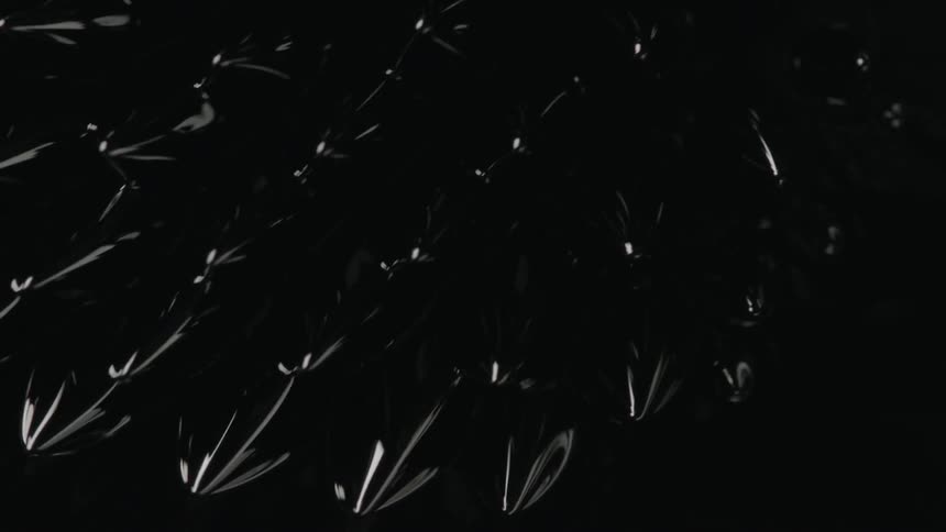 A footage of a bubble reflection