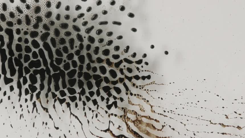 Dark brown droplets flow across white background
