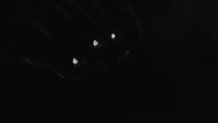 Light reflects off of something in darkness