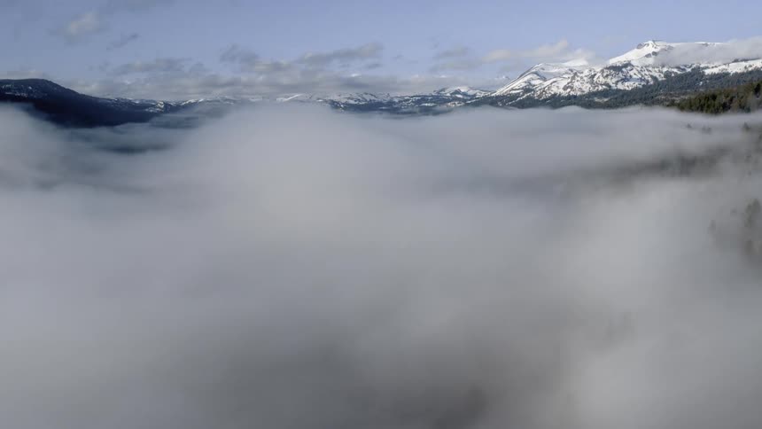 A thick layer of fog covers a forest filled valley below a snow covered mountain range
